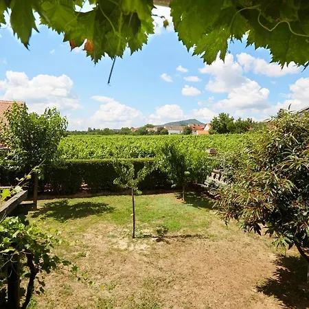 Troszt Pince Apartman Villany Exterior photo