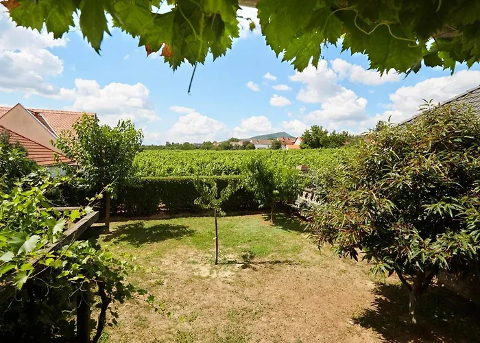 Troszt Pince Apartman