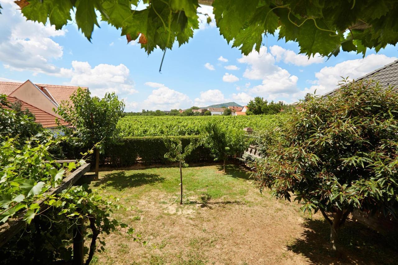 Troszt Pince Apartment Villány
